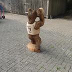 Handball Bär